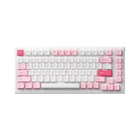 74559 ban phim co akko monsgeek mg75 prunus lannesiana akko switch v3 cream blue 1