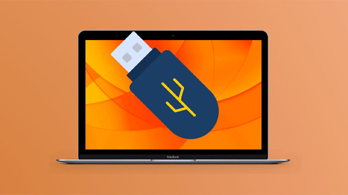 1704 loi usb khong format duoc 5