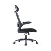 75881 ghe cong thai hoc warrior ergonomic chair pawn series wec105 black 4