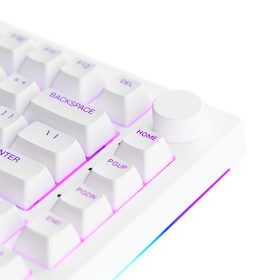 81106 ban phim co akko 5075b plus white akko switch v3 cream blue pro 5 280x280 1