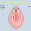 akko momo hamster plus xzone dong nai