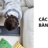 ban phim khong day logitech k400 plus den usb pinaa2