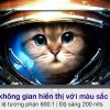 man hinh tuong phan 600 200nit