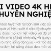 webcam logitech brio 4k stream edition mau den 2